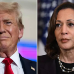 Die dunkle Seite der Verrueckten Trump sagt Kamala sei Inderin