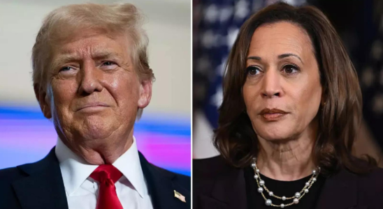 Die dunkle Seite der Verrueckten Trump sagt Kamala sei Inderin