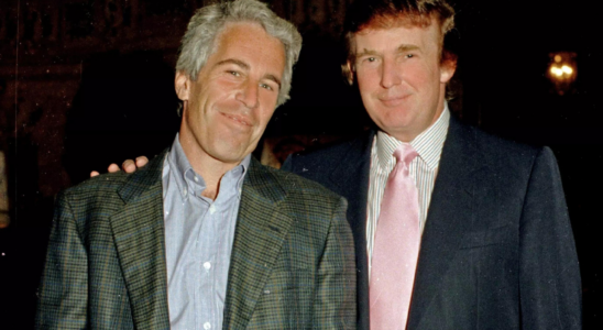 Donald Trump Jeffrey Epstein Ja Trump flog „unwissentlich mit einem