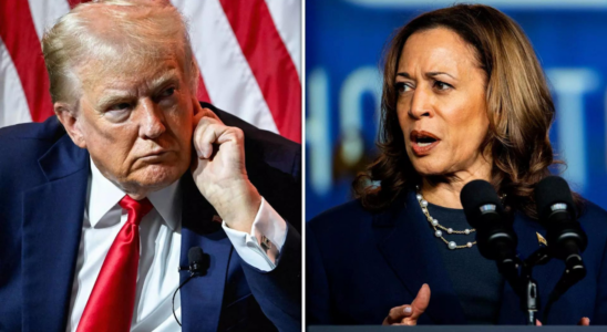 Donald Trump gegen Kamala Harris Trump behauptet „niemand kenne Kamala