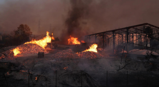 Ein Toter bei griechischem Waldbrand in Athener Vororten