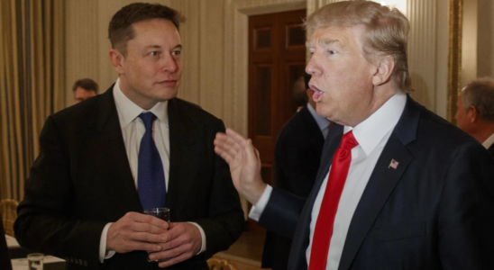 Elon Musks Post in dem er Trump fuer „zu alt