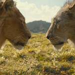 Gott steh uns bei dieser Mufasa Trailer ist eigentlich ziemlich gut