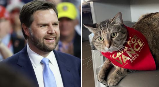 JD Vance sorgt mit seinem Beitrag „Cats for Vance 2024