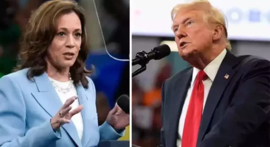 Kamala Harris befuerwortet Steuersenkung fuer Trinkgelder Donald Trump wirft ihr.webp