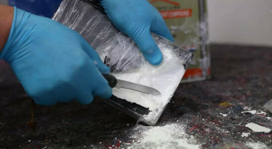 Kokain Norwegischer Drogenhaendler „Der Professor nach massivem Kokainhandel in Kolumbien