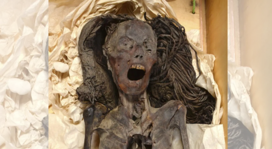 Mumie der „Schreienden Frau 3500 Jahre altes aegyptisches Raetsel geloest