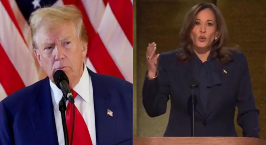 Trump Trumps Kampagne zielt auf „Genosse und „Grenzzarin Kamala wegen