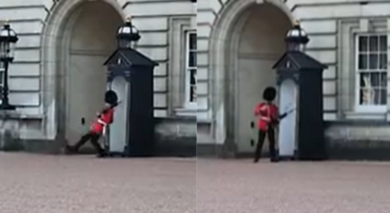 Wachmann des Buckingham Palace rutscht im Dienst aus und stuerzt