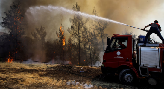 Waldbraende Feuerwehrleute kaempfen um die Eindaemmung von fuenf Waldbraenden in