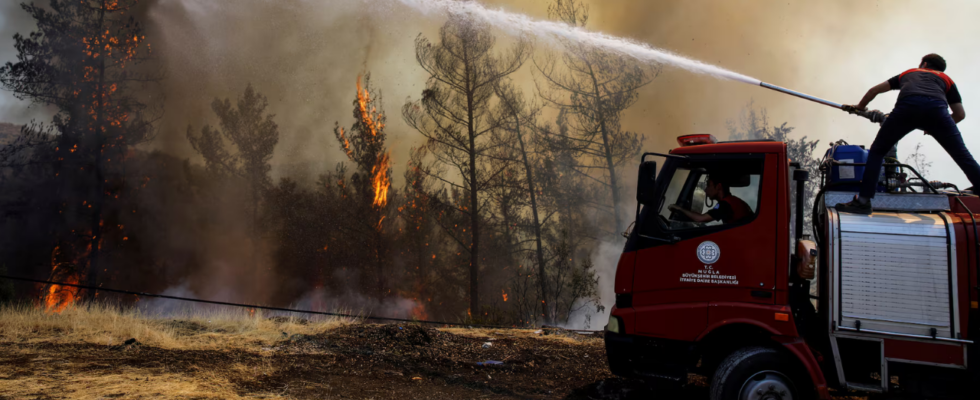 Waldbraende Feuerwehrleute kaempfen um die Eindaemmung von fuenf Waldbraenden in