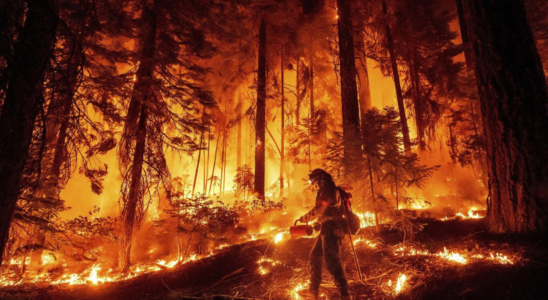 Waldbrand in Kalifornien Riesiger Waldbrand in Kalifornien frisst sich bei