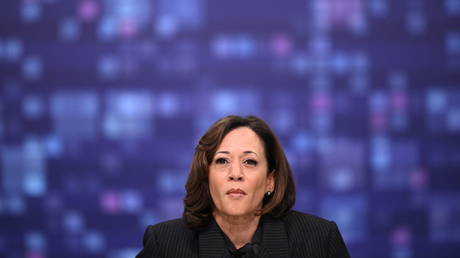 Warum Kamala Harris sich nicht zu einem Interview bereit erklaert