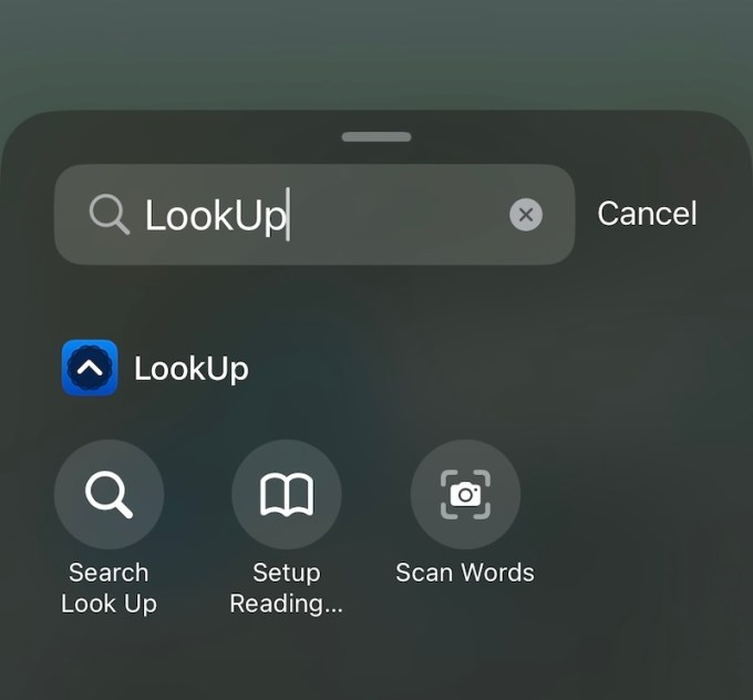 LookUp iOS 18-Steuerungs-Widget