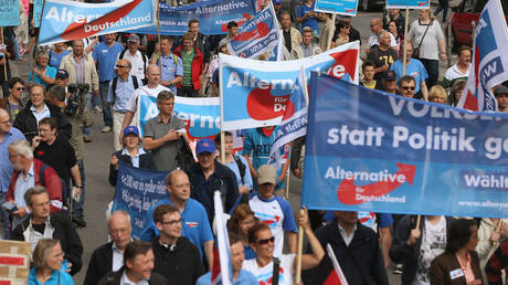 AfD ist kein Problem fuer Deutschland – sie ist die