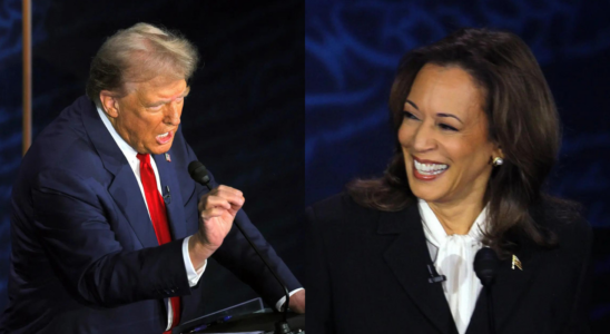 Aktuelle Umfragen zu Donald Trump vs Kamala Jeder fuenfte Republikaner