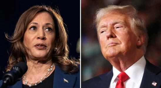 Aktuelle Umfragen zu Trump vs Kamala Harris profitiert von Aufschwung