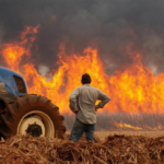 Brasilien Schlimmste Duerre seit 70 Jahren droht Brasilien Waldbraende im