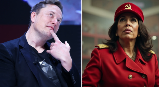 Elon Musks sarkastisches KI Bild von Kamala Harris als „kommunistischer Diktatorin