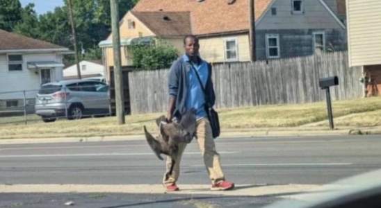 Haitianische Einwanderer Haitianische Einwanderer essen Hauskatzen und Enten von Einwohnern