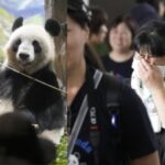 Japanische Fans verabschieden sich vor ihrer Rueckkehr nach China vom