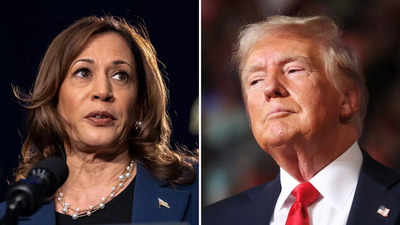 Kamala Harris vs Donald Trump Nate Silvers neueste Umfrageprognose „Sie