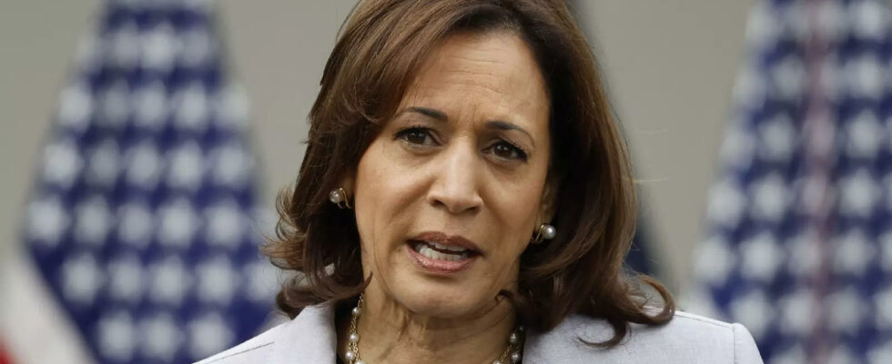 MAGA Mutter verspottet Kamala weil sie keine leiblichen Kinder hat