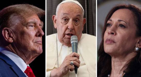 Papst Franziskus zur US Wahl „Sowohl Trump als auch Harris sind