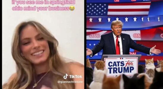 Trumps Behauptung „Haitianer fressen Hunde Sie fressen Katzen inspiriert viralen