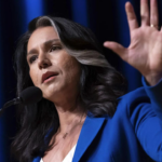 Tulsi Gabbard Kamala Harris Tulsi Gabbard sagt Dick Cheney habe