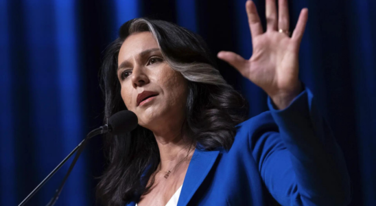 Tulsi Gabbard Kamala Harris Tulsi Gabbard sagt Dick Cheney habe