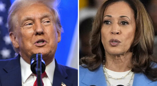 US Wahl Was Harris und Trump uebereinander sagen