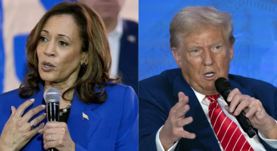 US Wahlen 2024 Umfragen zeigen dass Kamala Harris ihren Vorsprung vor