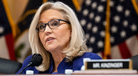 Wer ist Liz Cheney Eine treue Republikanerin die bei der