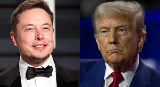 Wie Elon Musk Donald Trump beeinflusst