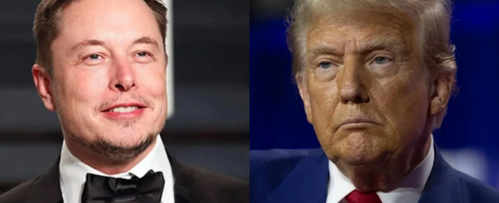 Wie Elon Musk Donald Trump beeinflusst