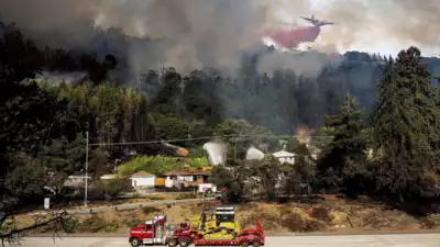 Buschfeuer in Oakland Das Buschfeuer in Oakland zerstoert Haeuser und