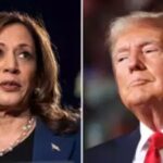 Donald Trump IVF „Ziemlich bizarr Kamala Harris reagiert auf Donald