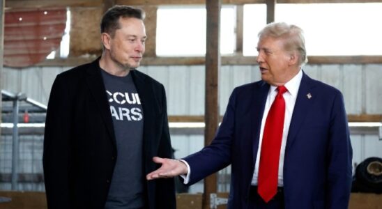 Elon Musk versucht Stimmen zu kaufen so wie er alle