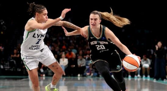 Ich habe waehrend der WNBA Meisterschaft gegen das Universum gekaempft