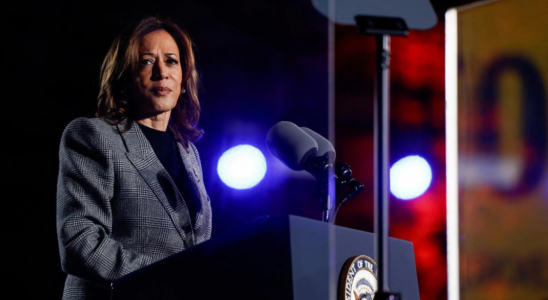 Kamala Harris verspricht den Amerikanern vor 75000 Zuschauern im Ellipse