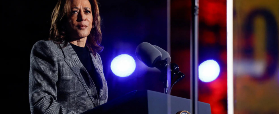 Kamala Harris verspricht den Amerikanern vor 75000 Zuschauern im Ellipse