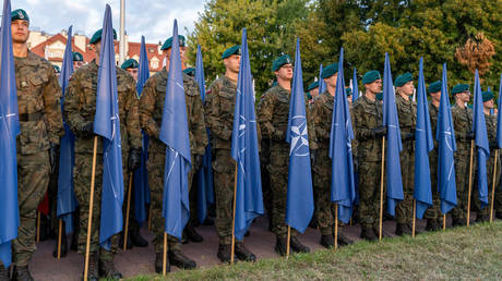 NATO plant Aufstockung grosser Streitkraefte – Welt — World