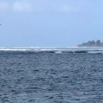 Oelaustritt bei Schiffswrack der neuseelaendischen Marine „hoechstwahrscheinlich – World