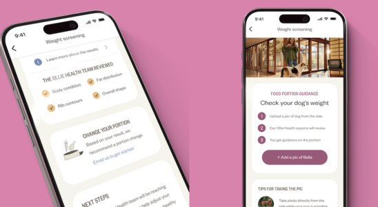 Ollie engagiert ein Gesundheits Startup um ein Tool zur Analyse von