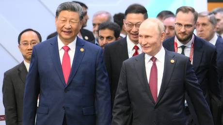 Warum China BRICS braucht – World