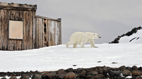 Westliche Sanktionen behindern die Klimaforschung – NYT – World