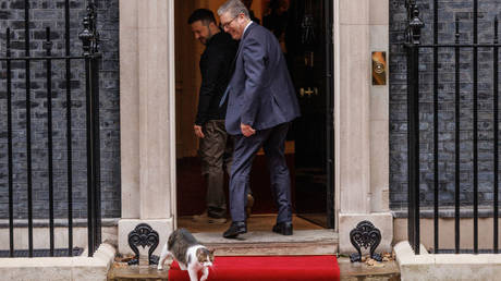 „Chief Mouser aus Downing Street brueskiert Selenskyj VIDEO – World