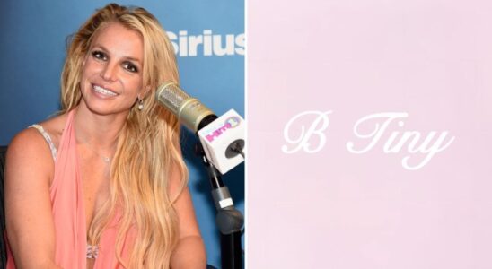 Britney Spears arbeitet an einer Schmucklinie