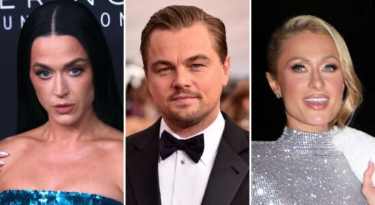 Die Party zum 50 Geburtstag von Leonardo DiCaprio klang …